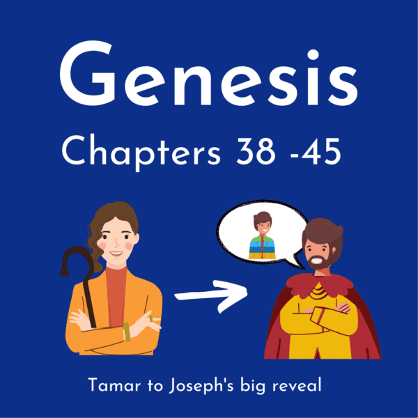 Genesis Book Bundle 5: chapters 38-45 Foundational Visual Bible